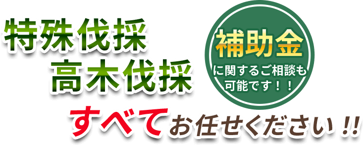 特殊伐採・高木伐採　すべてお任せください!!補助金に関するご相談も可能です！！